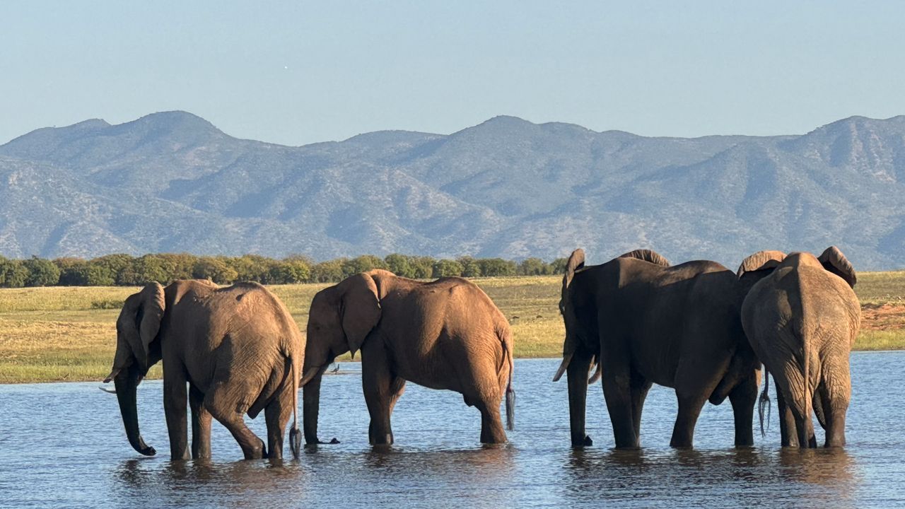 Reisspecialist Paula van Matoke Tours op studiereis in Zimbabwe